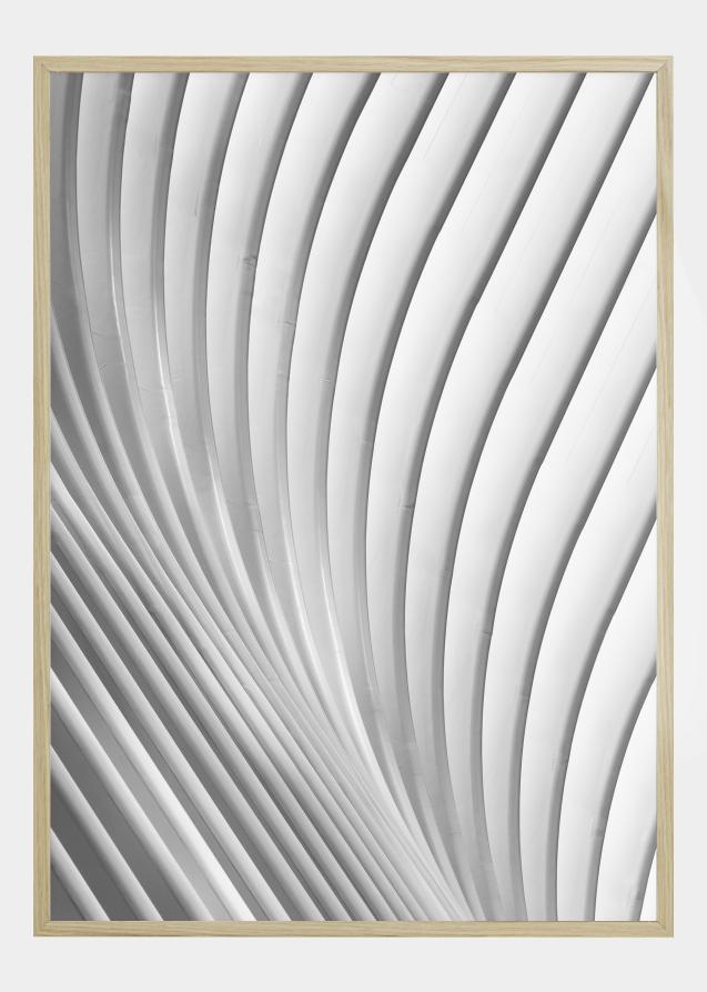 Calatrava Lines Poster