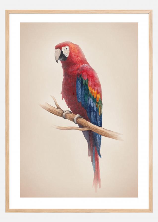 Tropical Parrot Poster
