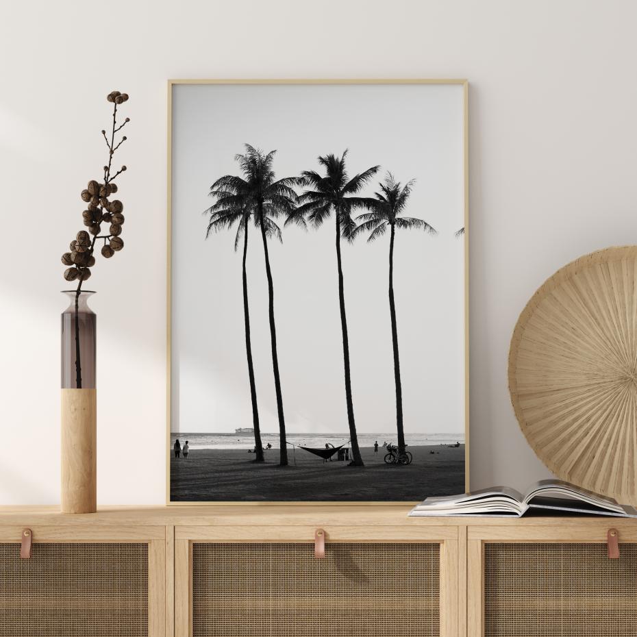 Black And White Palm Trees Poster