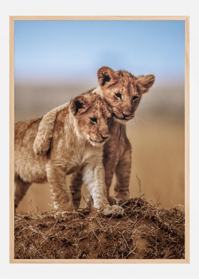 Lion Brothers For Life Poster