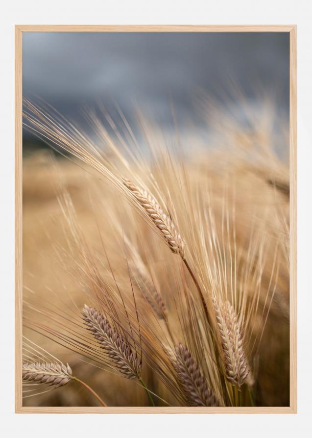 Wheat Poster