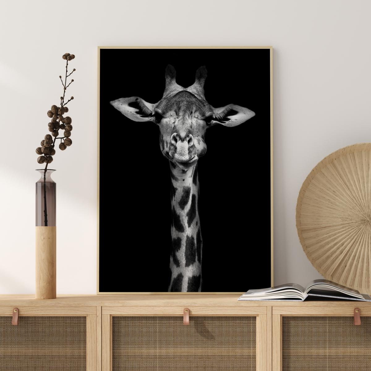 Chewing Giraffe Poster