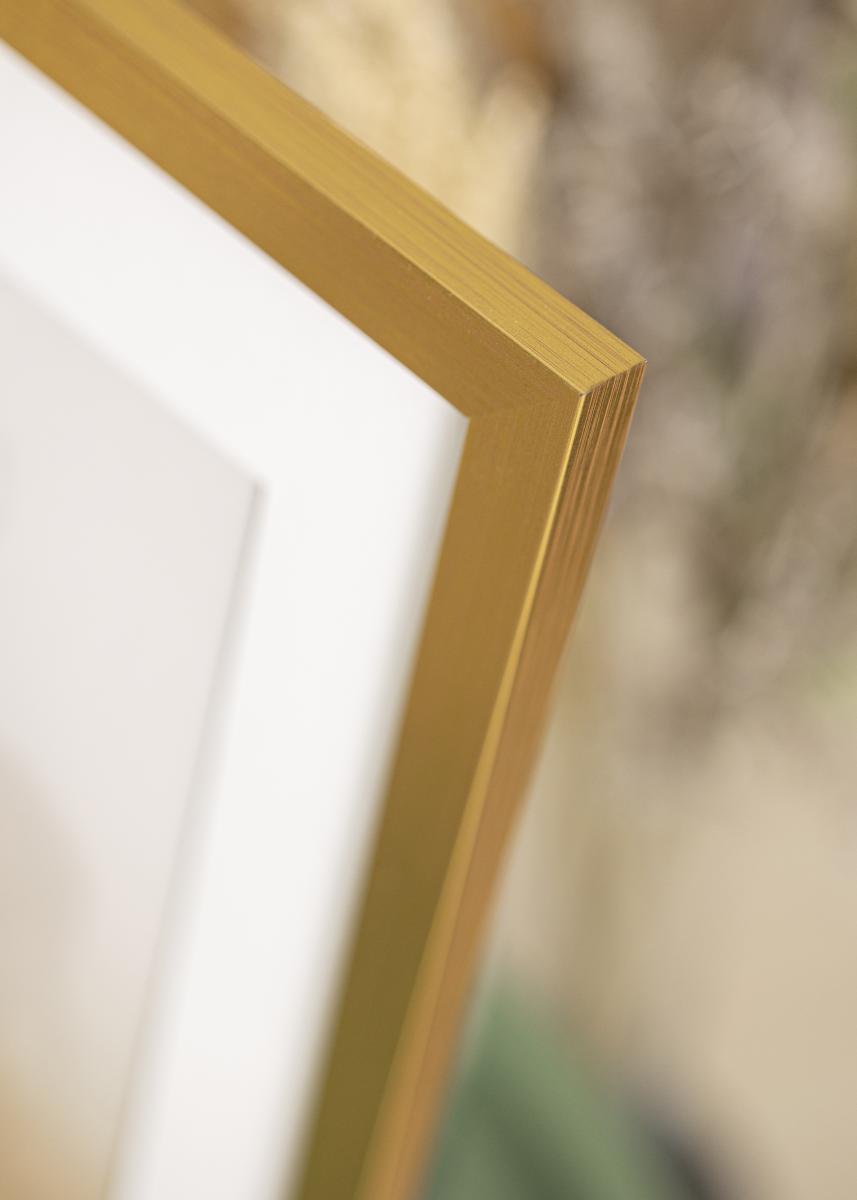 Doehnert Cadre en bois Pinner 50x100 cm - brun-or - verre standard