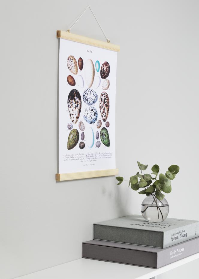 Support pour poster Nature - 30 cm