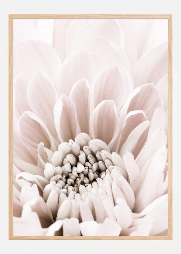 Chrysanthemum I Poster