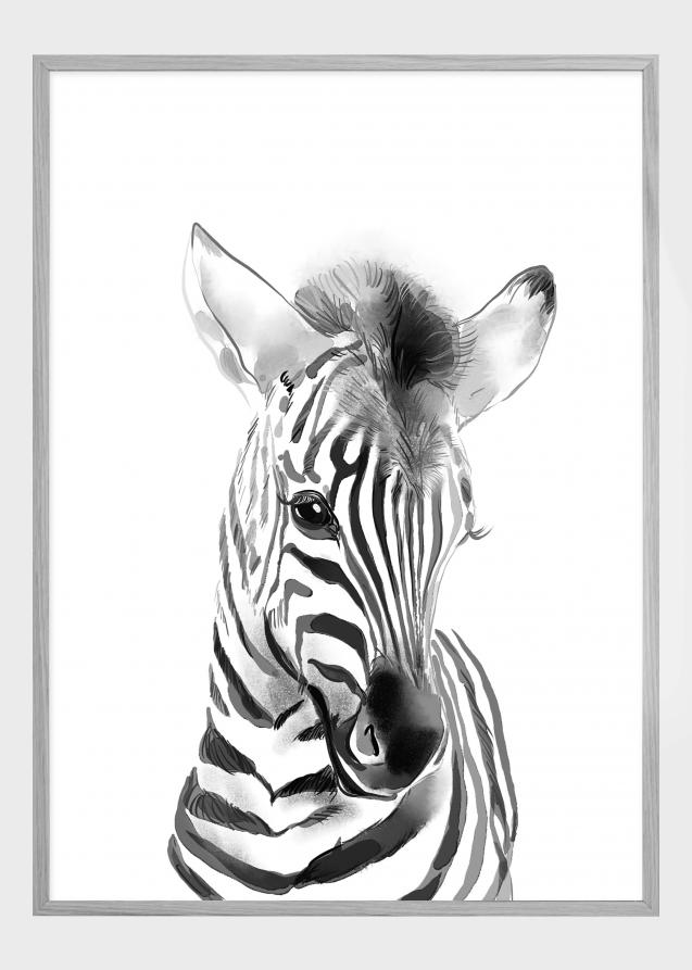 Zebra Watercolor Poster
