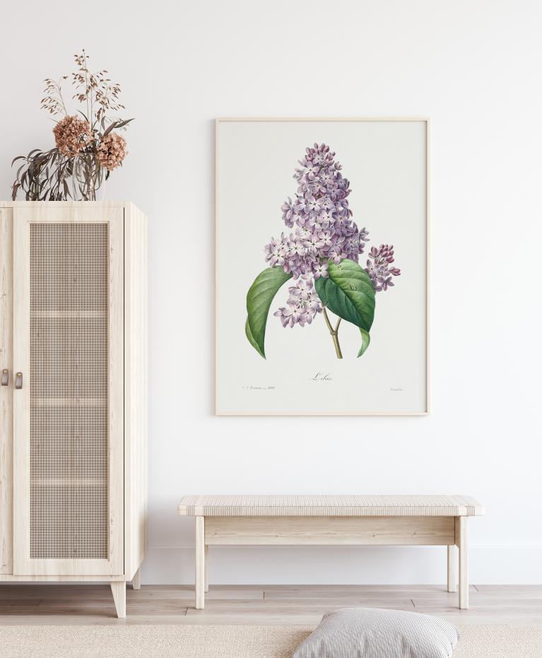 Lilac Flower Poster