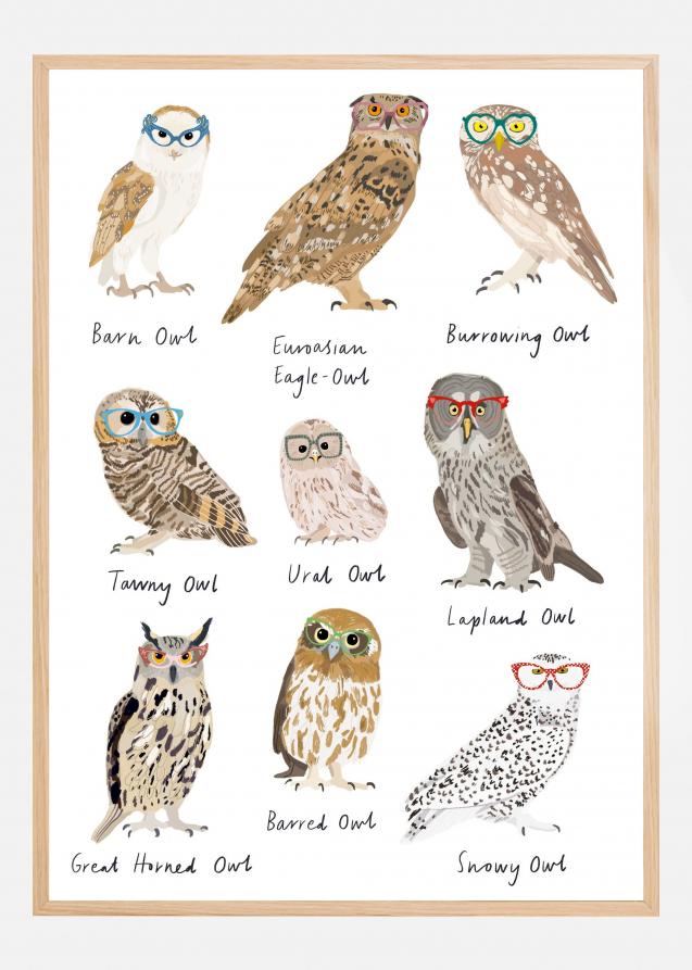 Owls In Glasses Print Poster