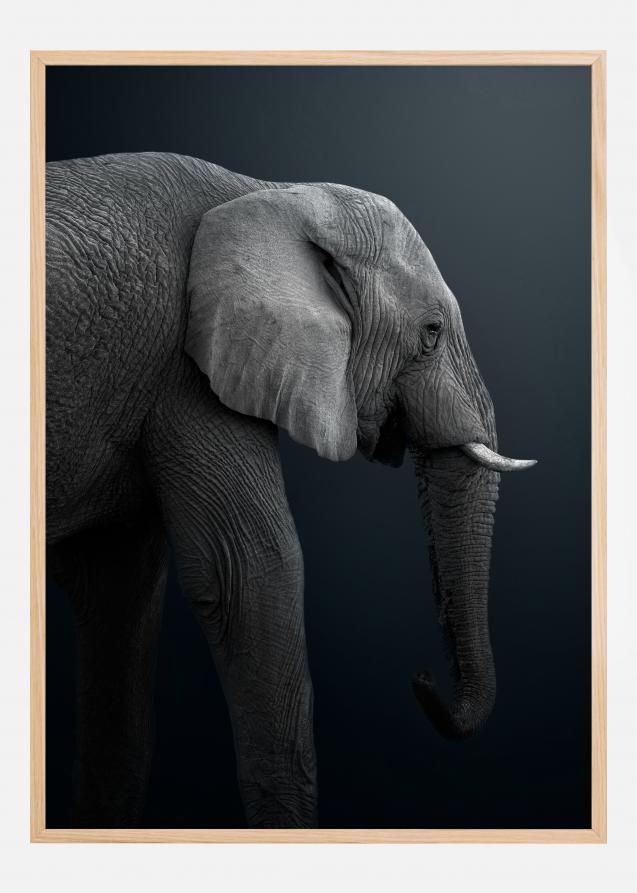 Namibian Elephant Poster