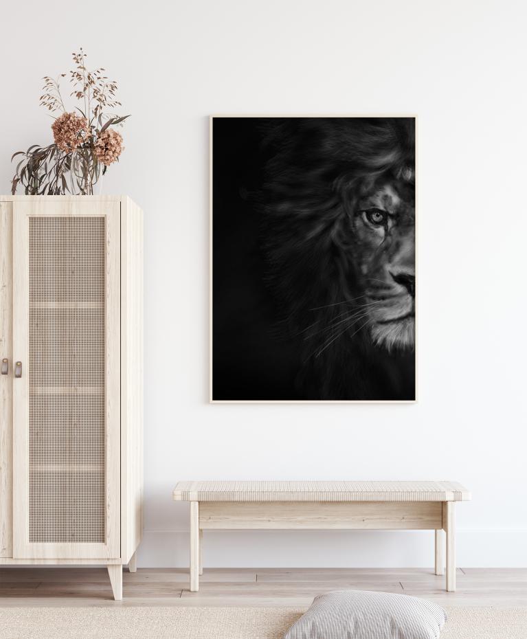 Half Lion Poster