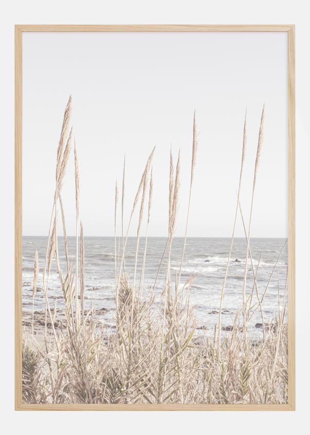 Beach Vass 001 Poster