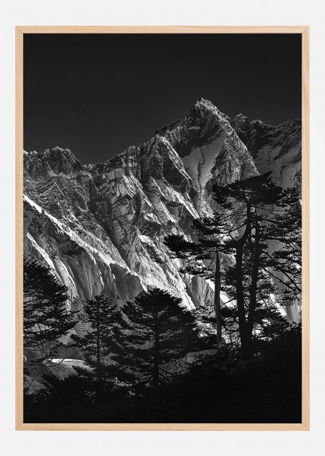 Everest view Poster