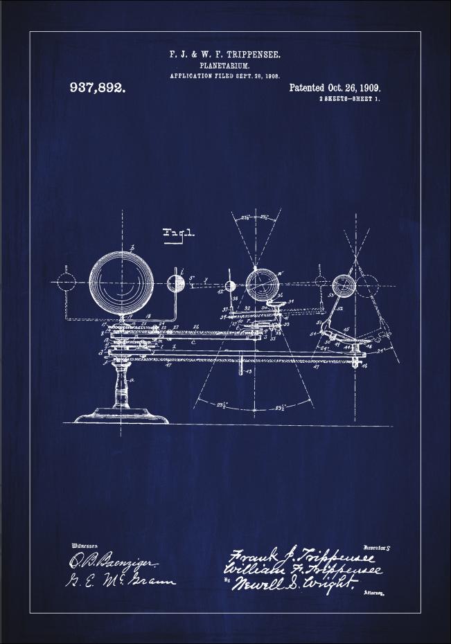Dessin de brevet - Plantarium - Bleu Poster