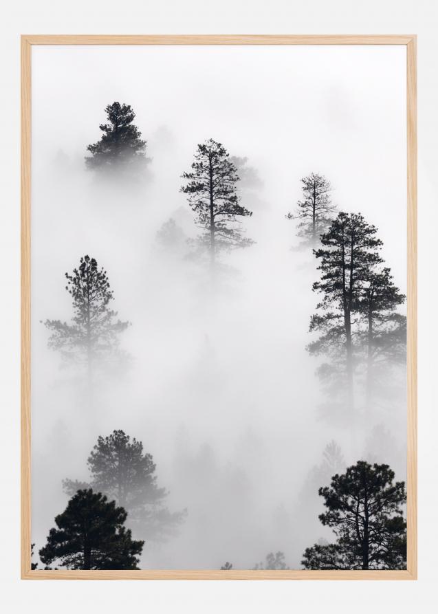 Fogy Forest Poster