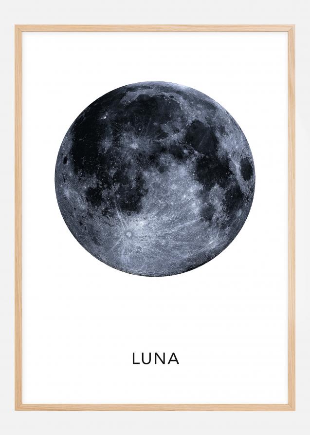 Luna Poster