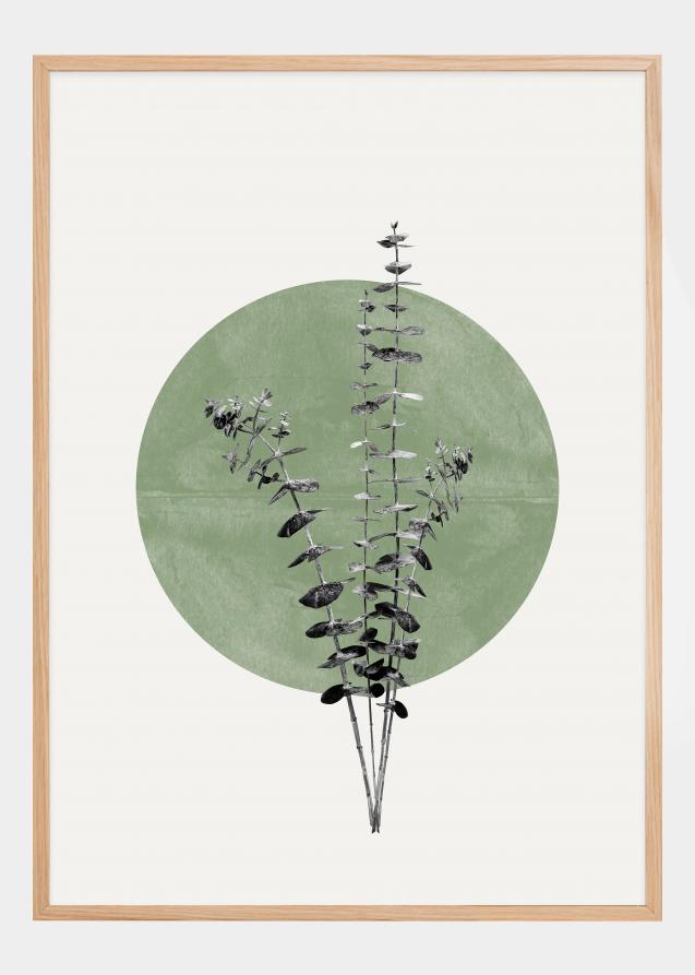 Eucalyptus and Green Moon Poster
