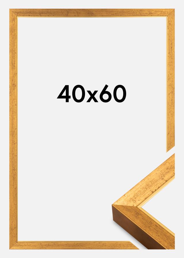 Cadre Brema Acrylique Or 40x60 cm