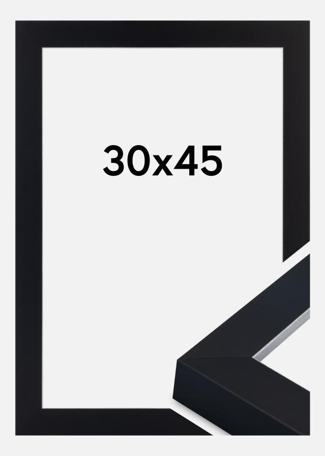 Cadre Sussex Verre Acrylique Noir/Argent 30x45 cm