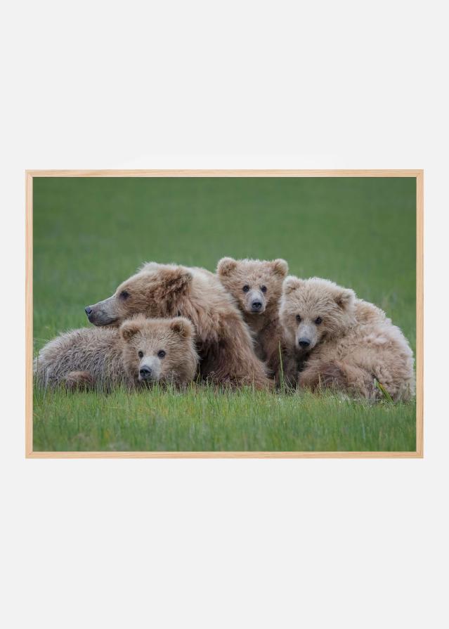 Bear Huddle Poster