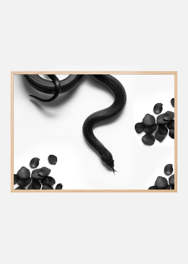 Black Snake Roam Poster