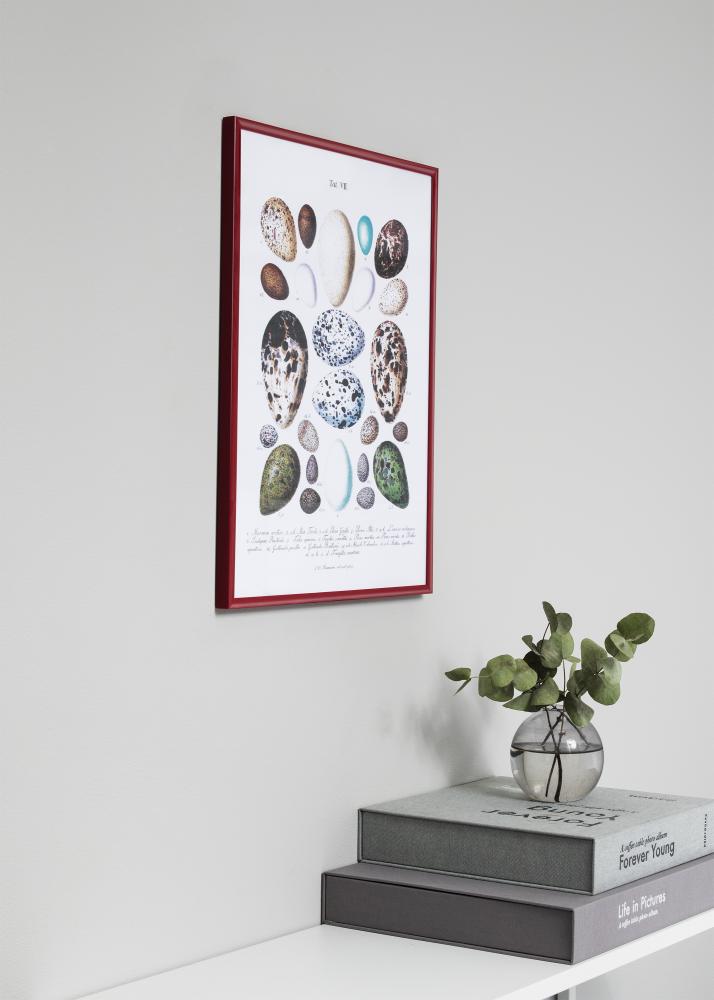 Cadre New Lifestyle Rouge 70x100 cm - Passe-partout Blanc 50x85 cm