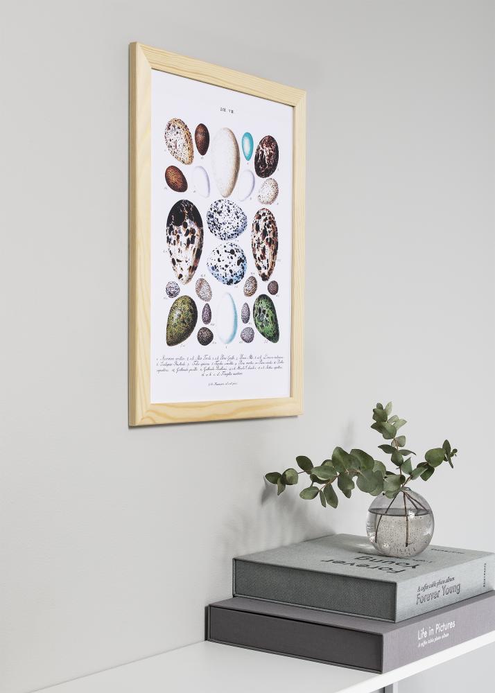 Cadre Trendline Nature 40x40 cm - Passe-partout Blanc 10x10 inches