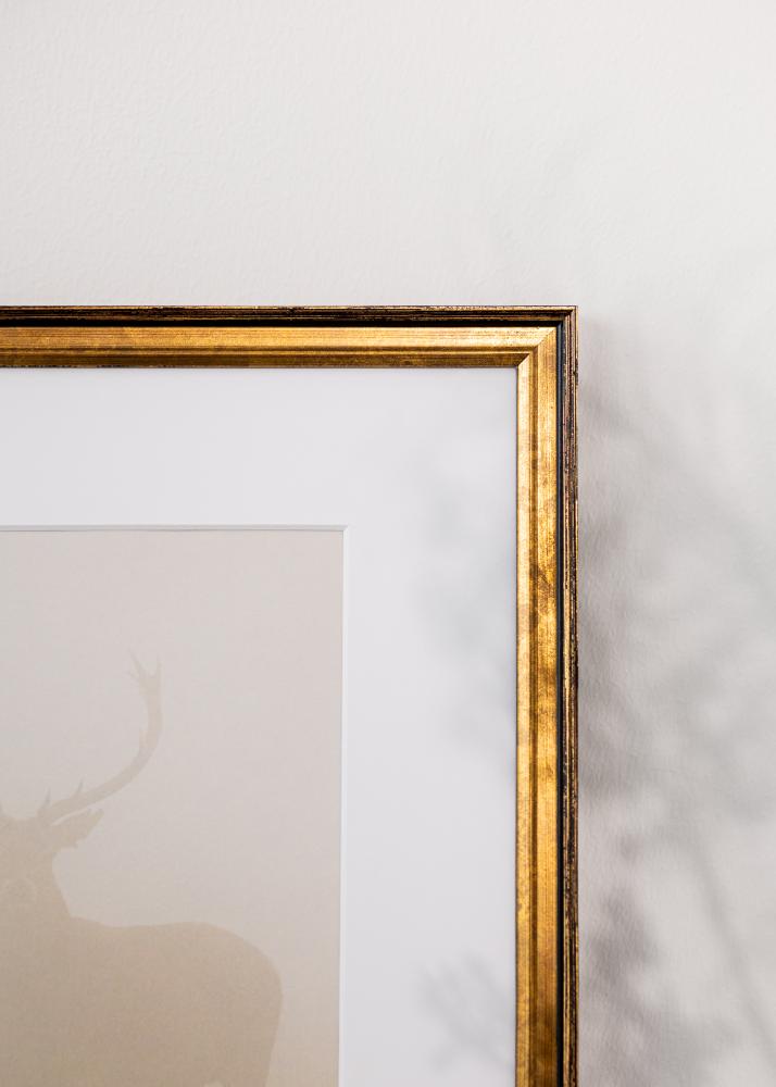 Cadre Ringa Verre Acrylique Doré 30x40 cm