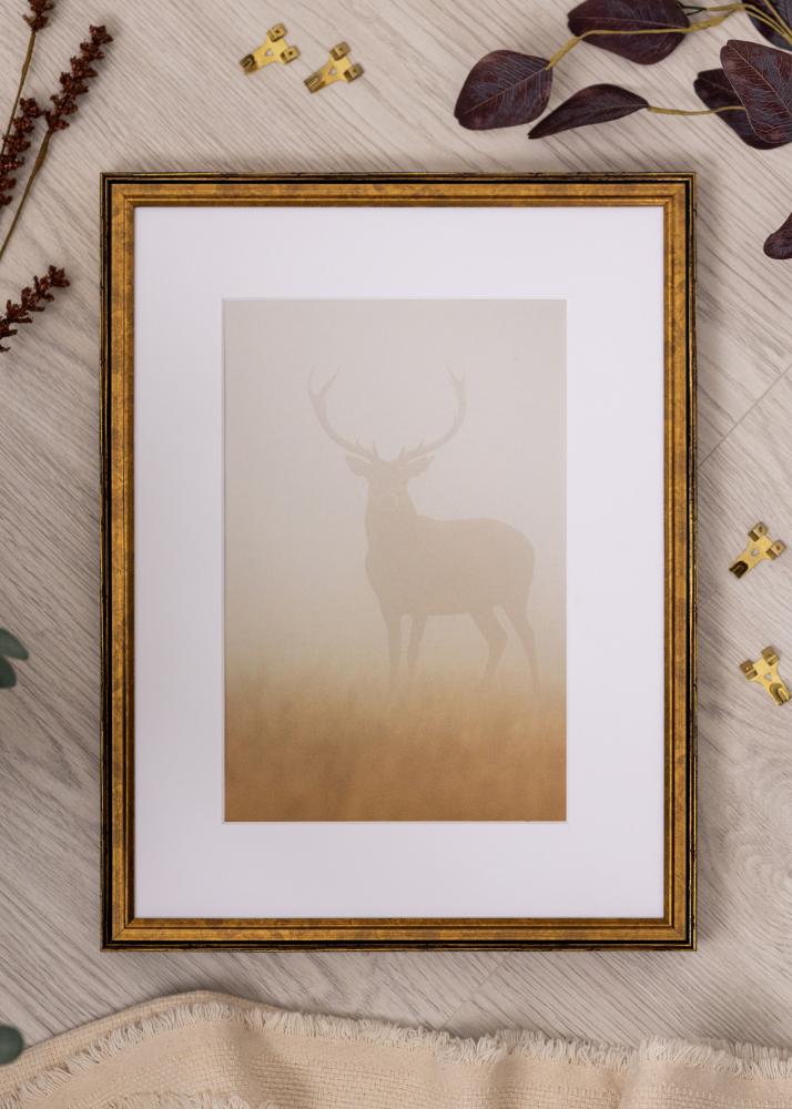 Cadre Ringa Verre Acrylique Doré 30x40 cm