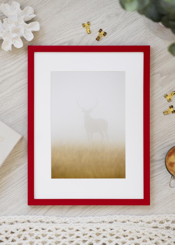 Cadre Kent Verre Acrylique Rouge 29,7x42 cm (A3)