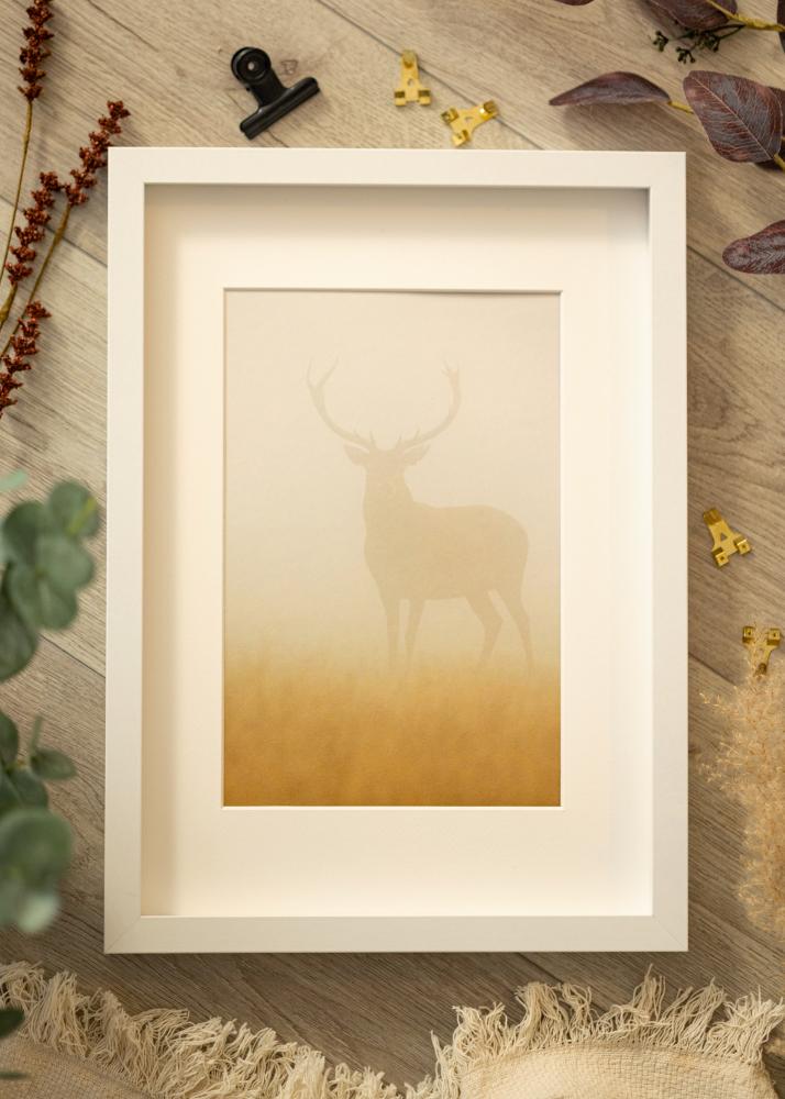 BGA Cadre boîte Blanc 40x60 cm - Passe-partout Blanc 25x50 cm