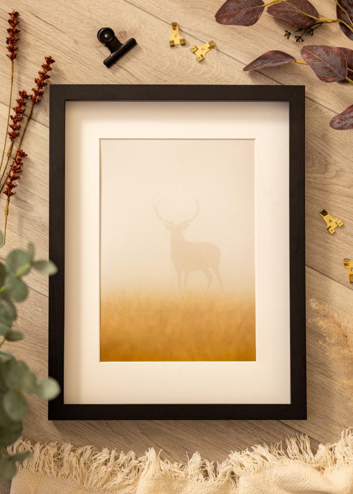 BGA Cadre boîte Noir 30x45 cm - Passe-partout Blanc 8x14 inches