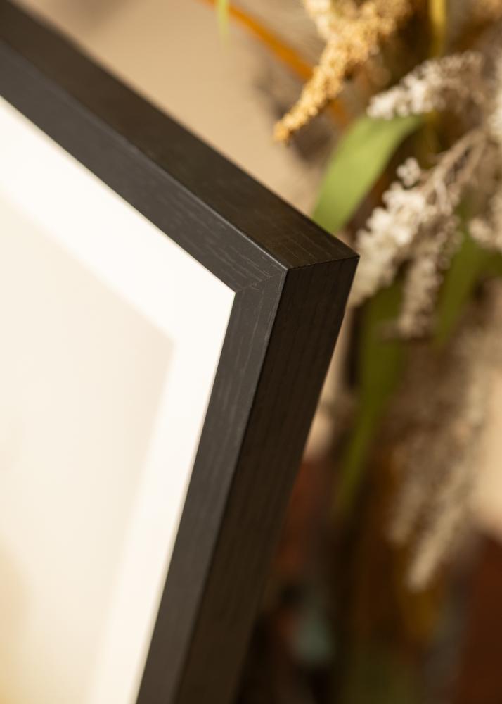 BGA Cadre boîte Noir 30x45 cm - Passe-partout Blanc 8x14 inches