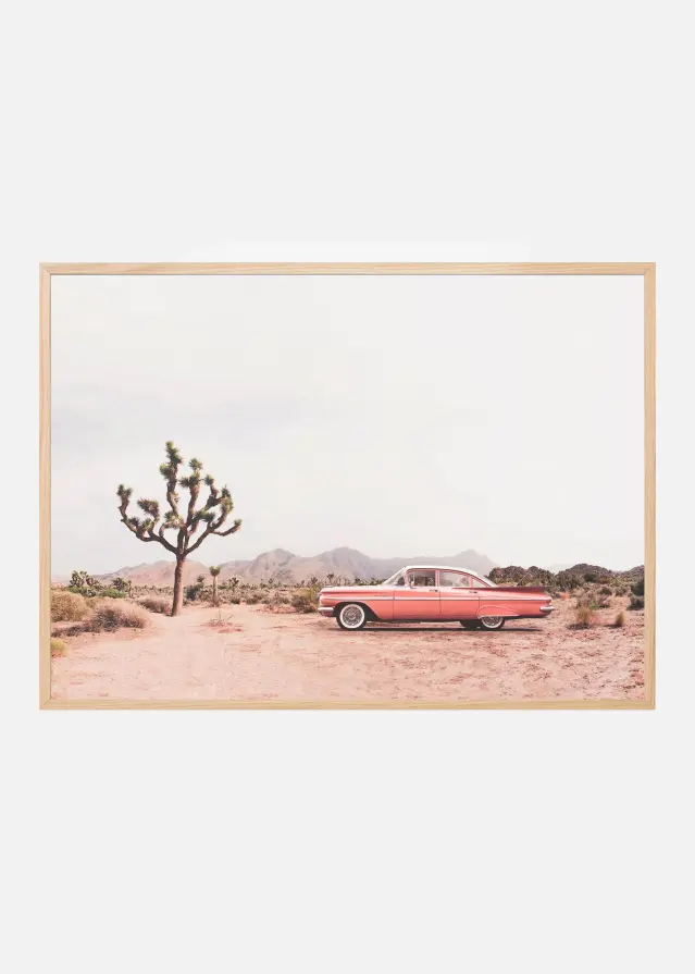 In the desert Poster
