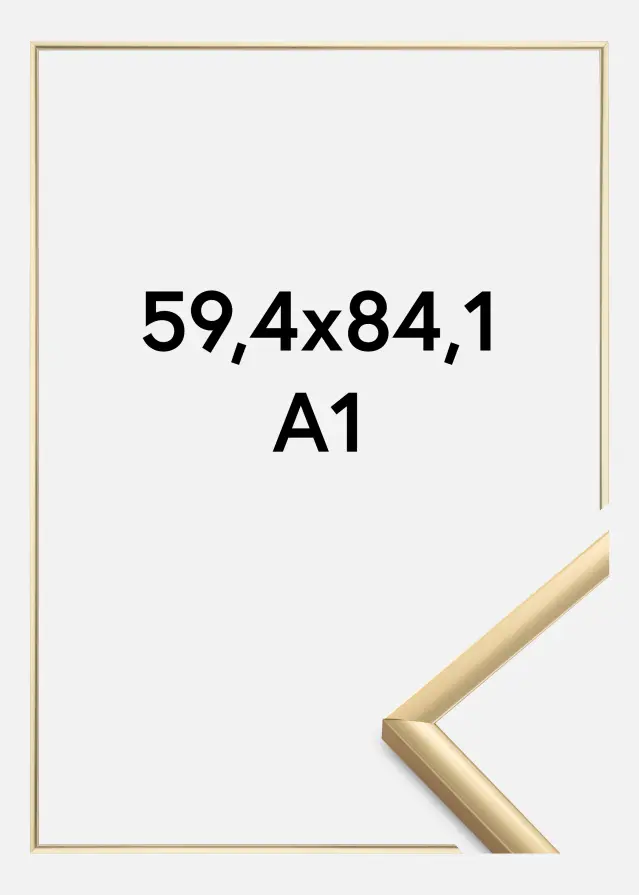 Cadre New Lifestyle Verre acrylique Or 59,4x84 cm (A1)