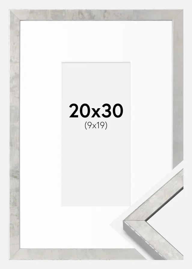 Cadre Ares Argent 20x30 cm - Passe-partout Blanc 10x20 cm