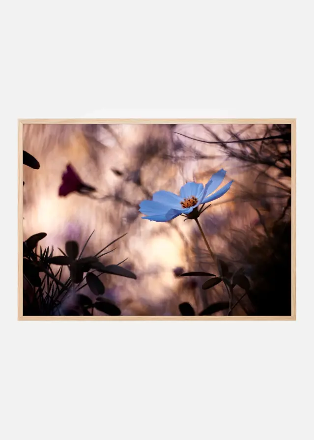 L’Indifférence Poster