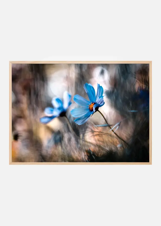 The two of us Poster