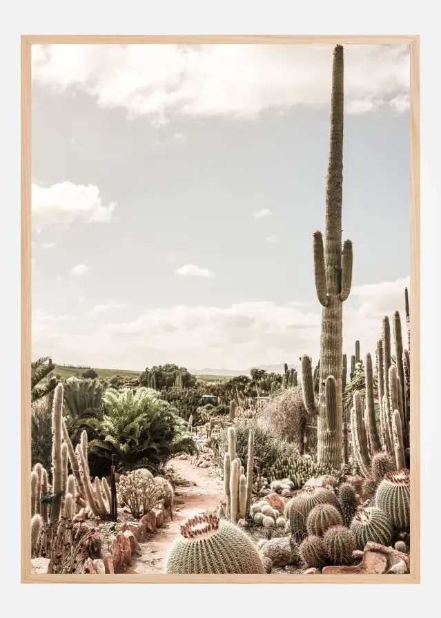 Cactus Farm Poster