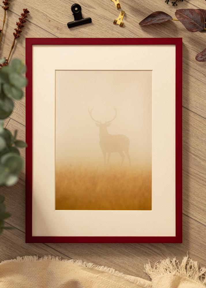 Colorful Verre acrylique Rouge 60x80 cm