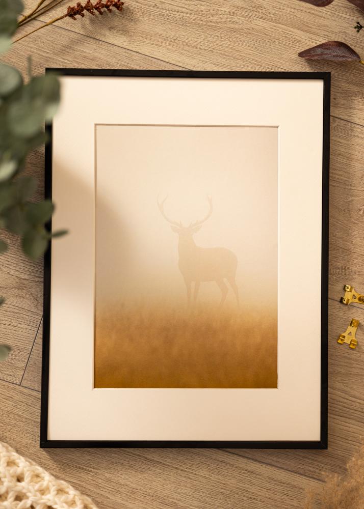 Cadre aluminium Verre acrylique Noir 21x29,7 cm (A4)