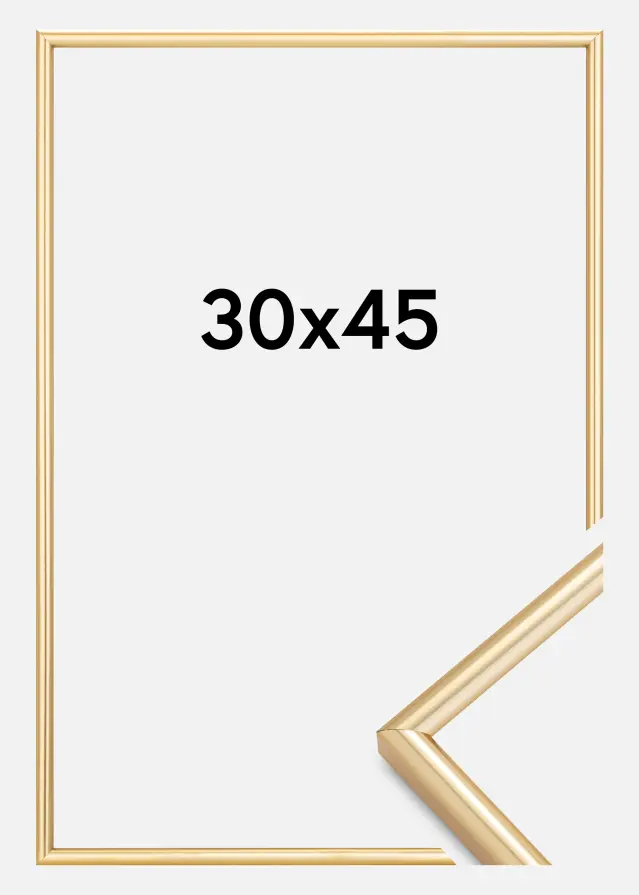 Cadre Galeria Or 30x45 cm