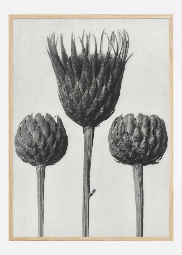 Grey Flower IV Poster