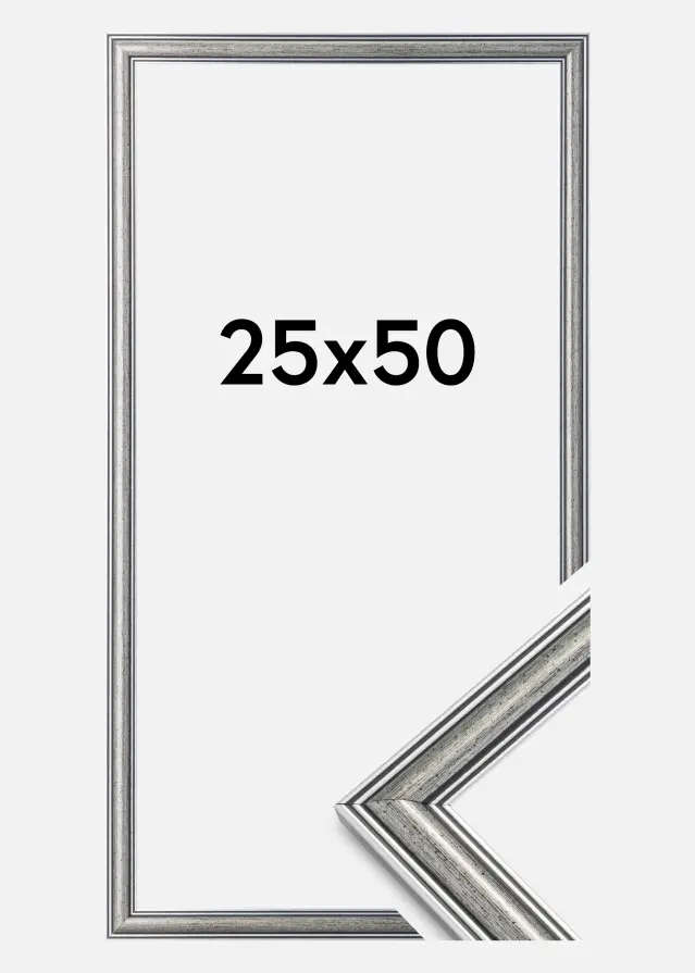Cadre Frigg Argent 25x50 cm