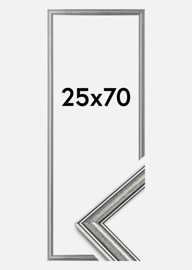 Cadre Frigg Argent 25x70 cm