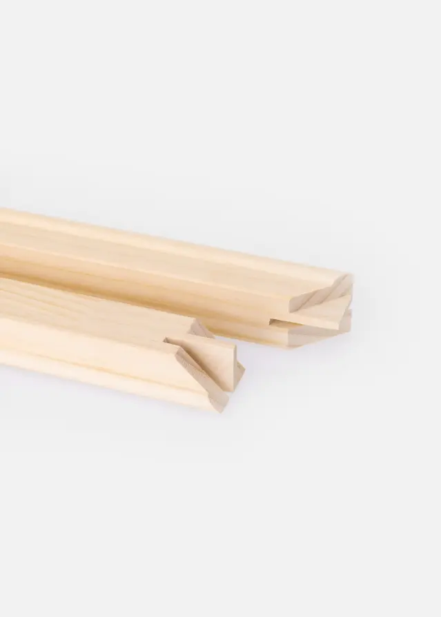 Focus Châssis Lot de 2 - 50 cm