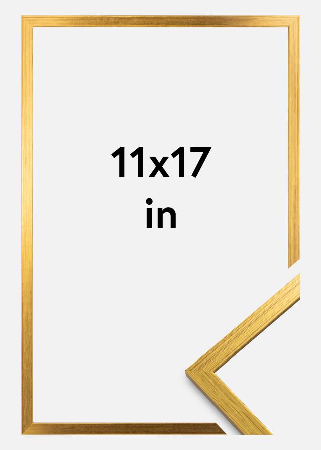 Cadre Edsbyn Or 11x17 inches (27,94x43,18 cm)