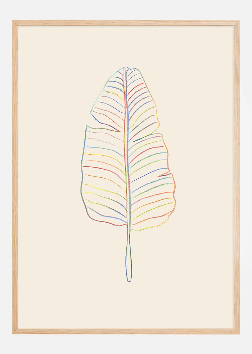 Product Image for Banana Rainbow Leaf Poster (21x29.7 cm (A4))