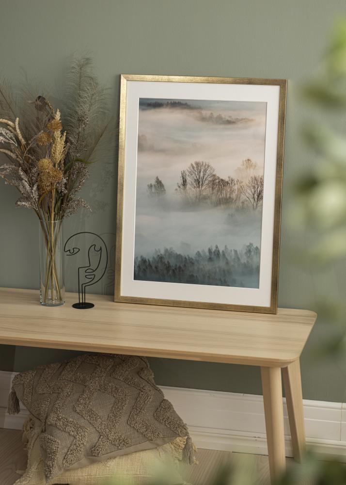 Cadre Stilren Verre Acrylique Or 50x70 cm