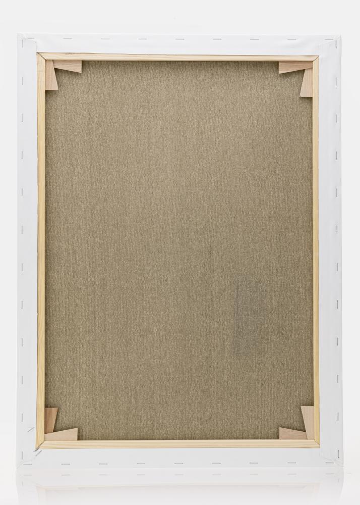 Toile à peindre Premium Blanc 60x80 cm