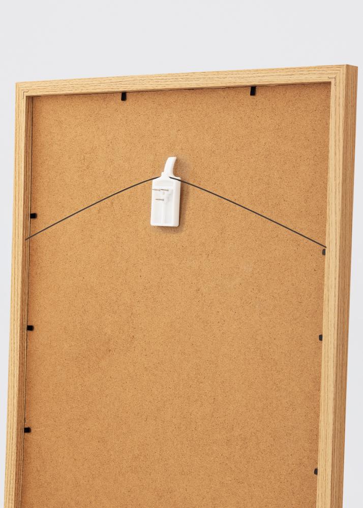 Crochet à tableau pour tous murs - BGA Crochet à tableau - lot de 2